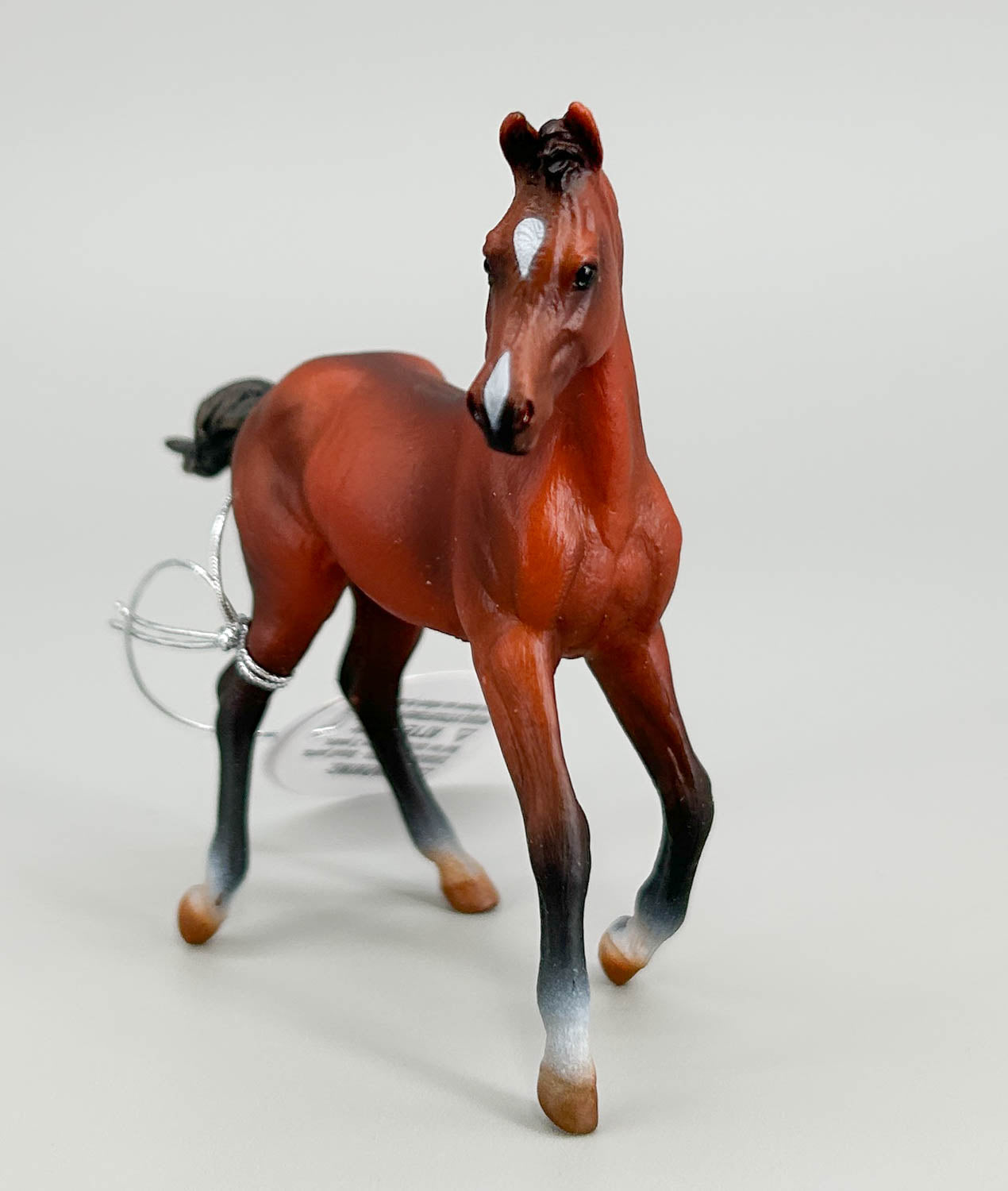 Quarter Horse Foal, Bay