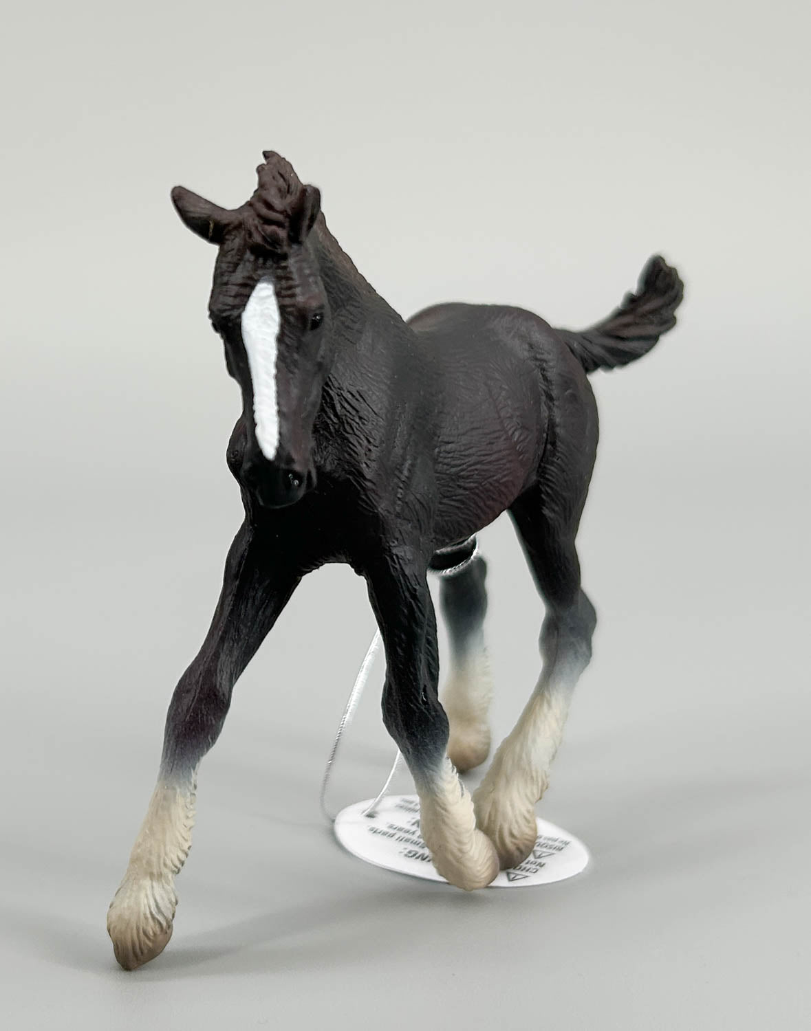 Shire Foal, Black