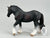 Shire Mare, Black