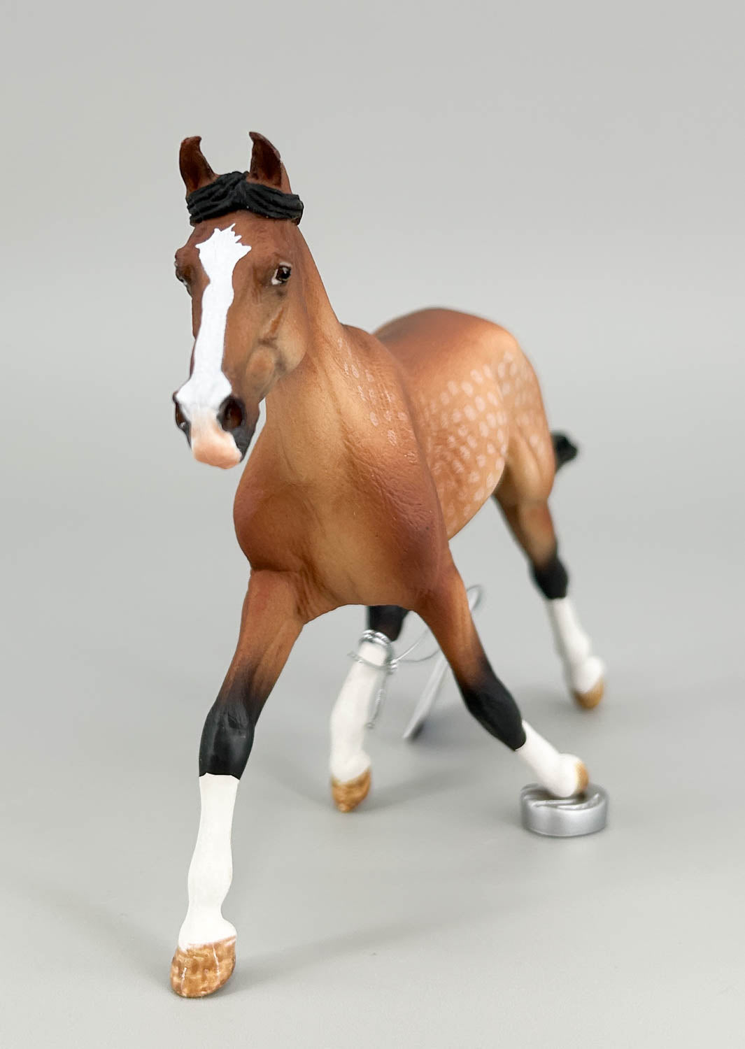 Standardbred Pacer, Dappled Light Bay