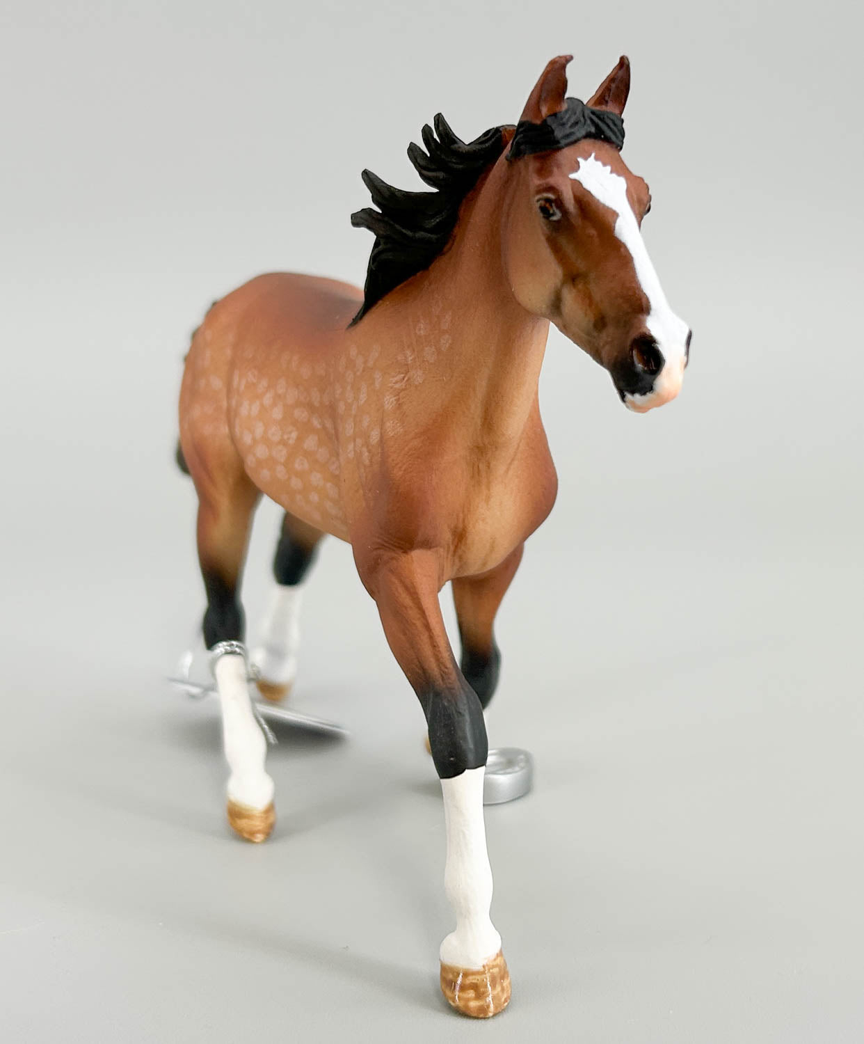 Standardbred Pacer, Dappled Light Bay