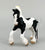 Gypsy Vanner / Tinker Foal, Black Pinto