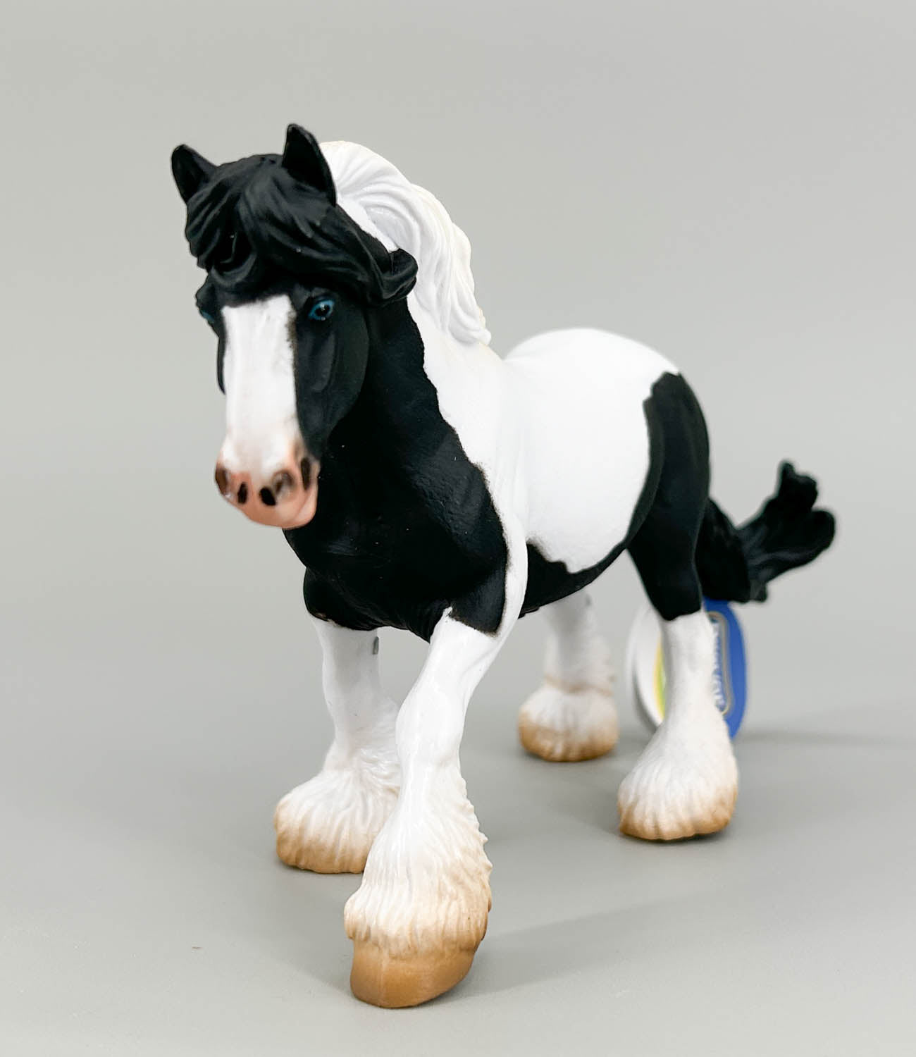 Gypsy Vanner / Tinker Mare