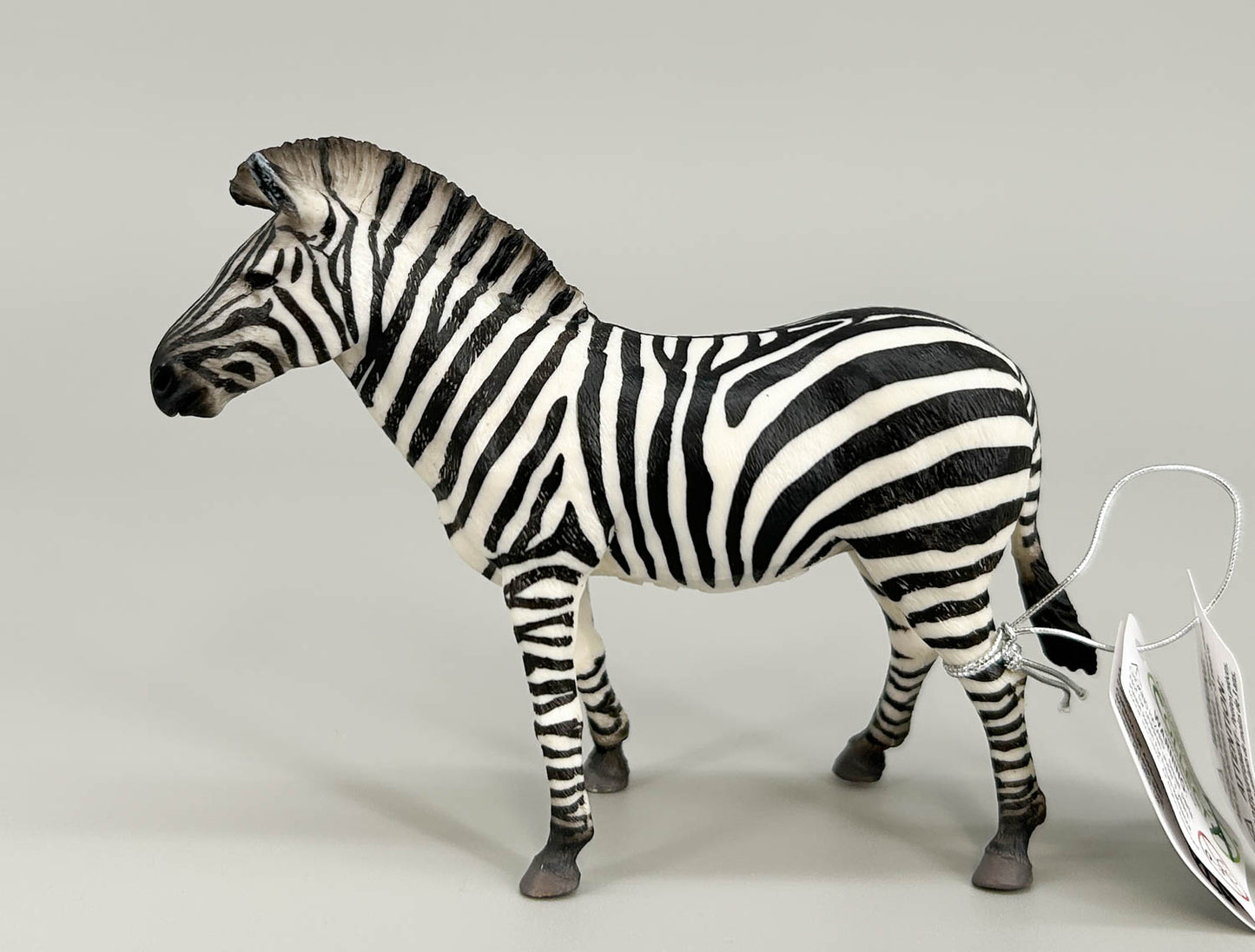 Zebra, Common Zebra