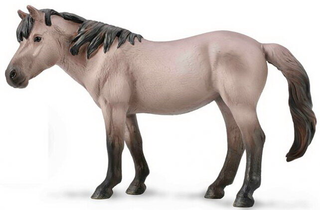 Konik Mare, Grulla (International Release)