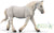 Boulonnais Mare, Grey (International Release)