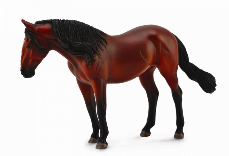 Lusitano Mare, Bay - Deluxe 1:12 Scale Model (International Release) - ADVANCE SALE