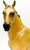 Akhal Teke Stallion, Buckskin (International Release)