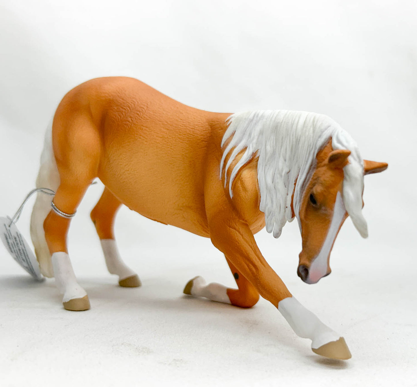 Bowing Lusitano Mare, Palomino