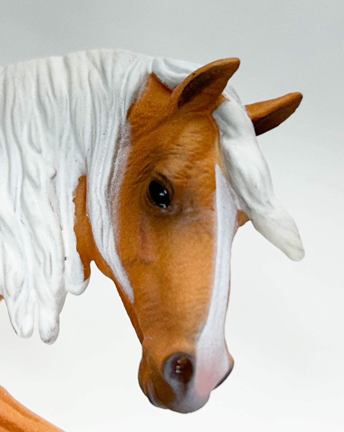 Bowing Lusitano Mare, Palomino