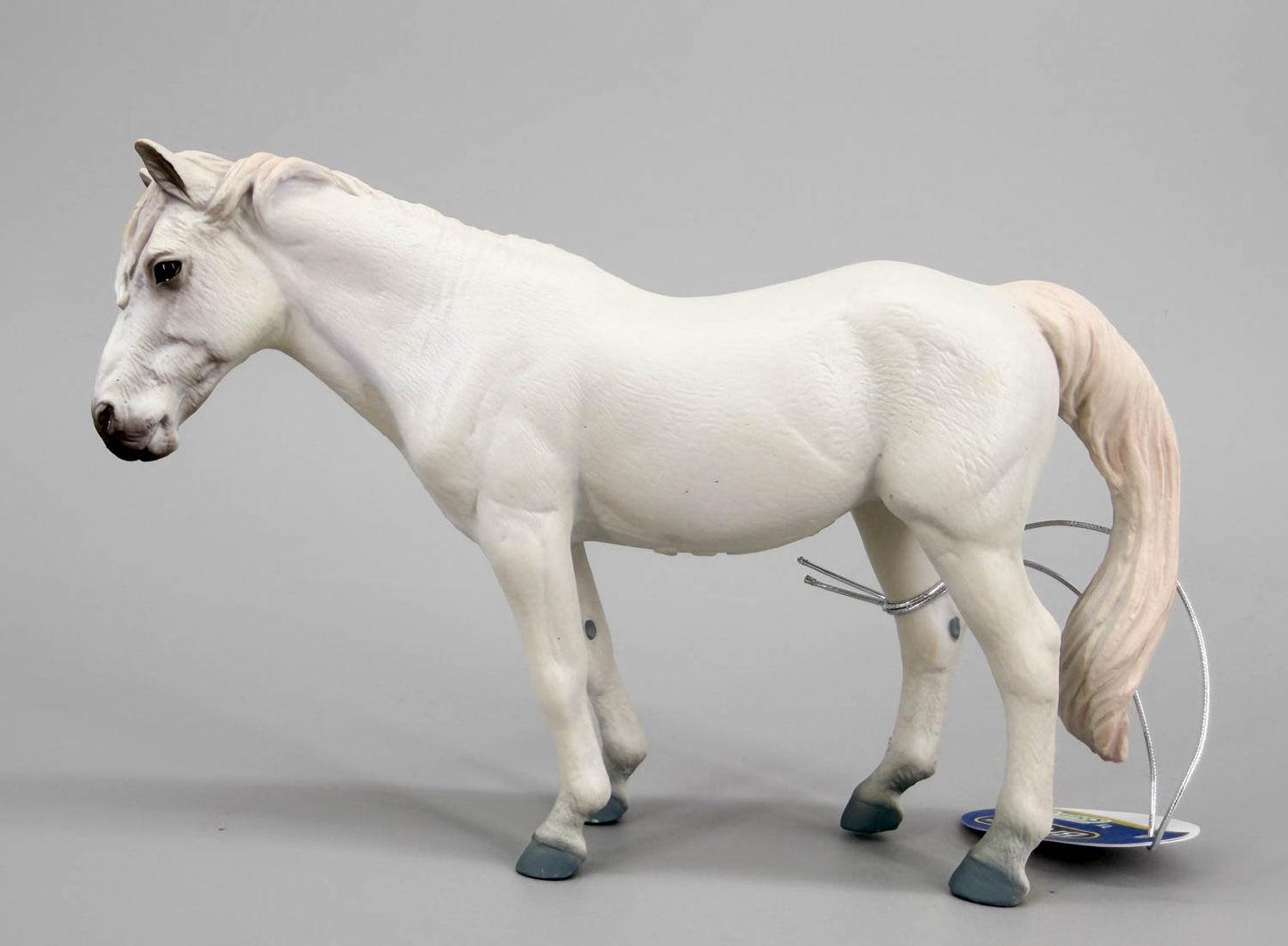 Camargue Horse