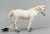 Camargue Horse