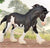 Clydesdale Stallion, Black Sabino
