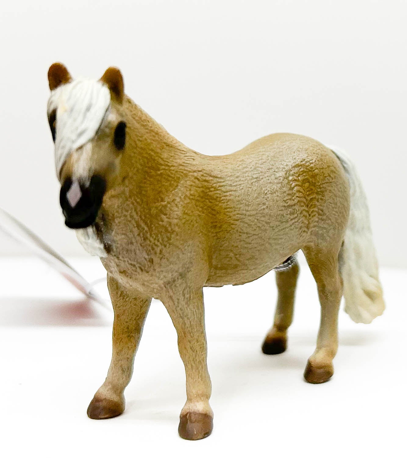 Falabella Mare, Palomino (International Release)