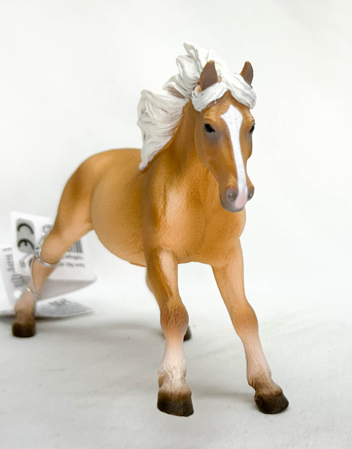 Haflinger Stallion (international release)