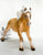 Haflinger Stallion (international release)