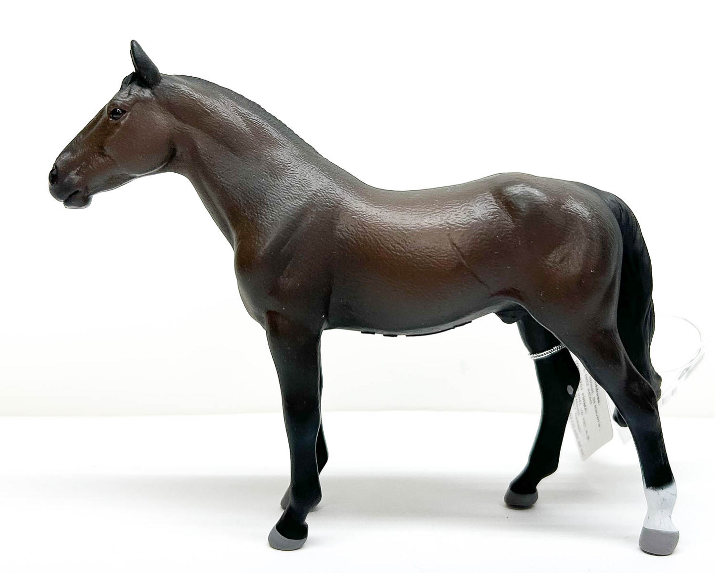 Holsteiner Stallion, Brown (International Release)