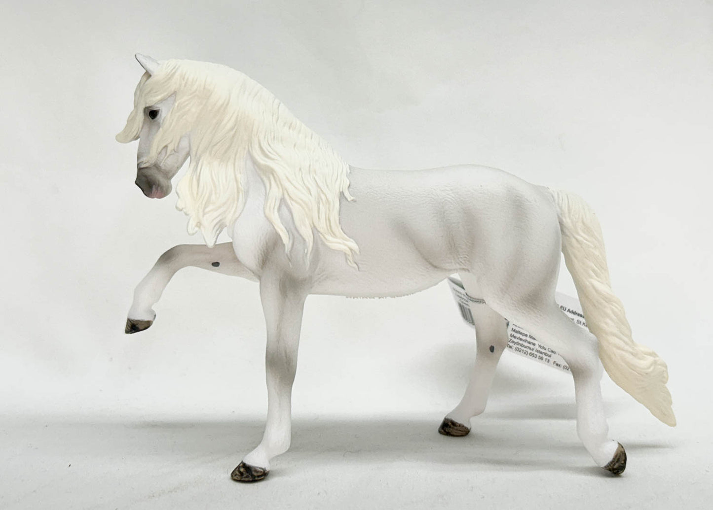 Lipizzan Mare, Spanish Walk (international release)
