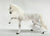 Lipizzan Mare, Spanish Walk (international release)