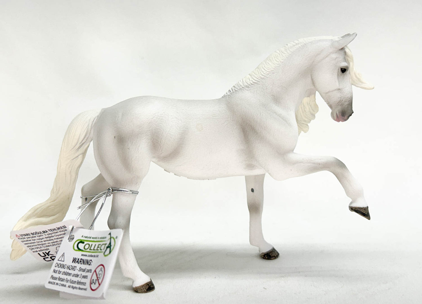 Lipizzan Mare, Spanish Walk (international release)