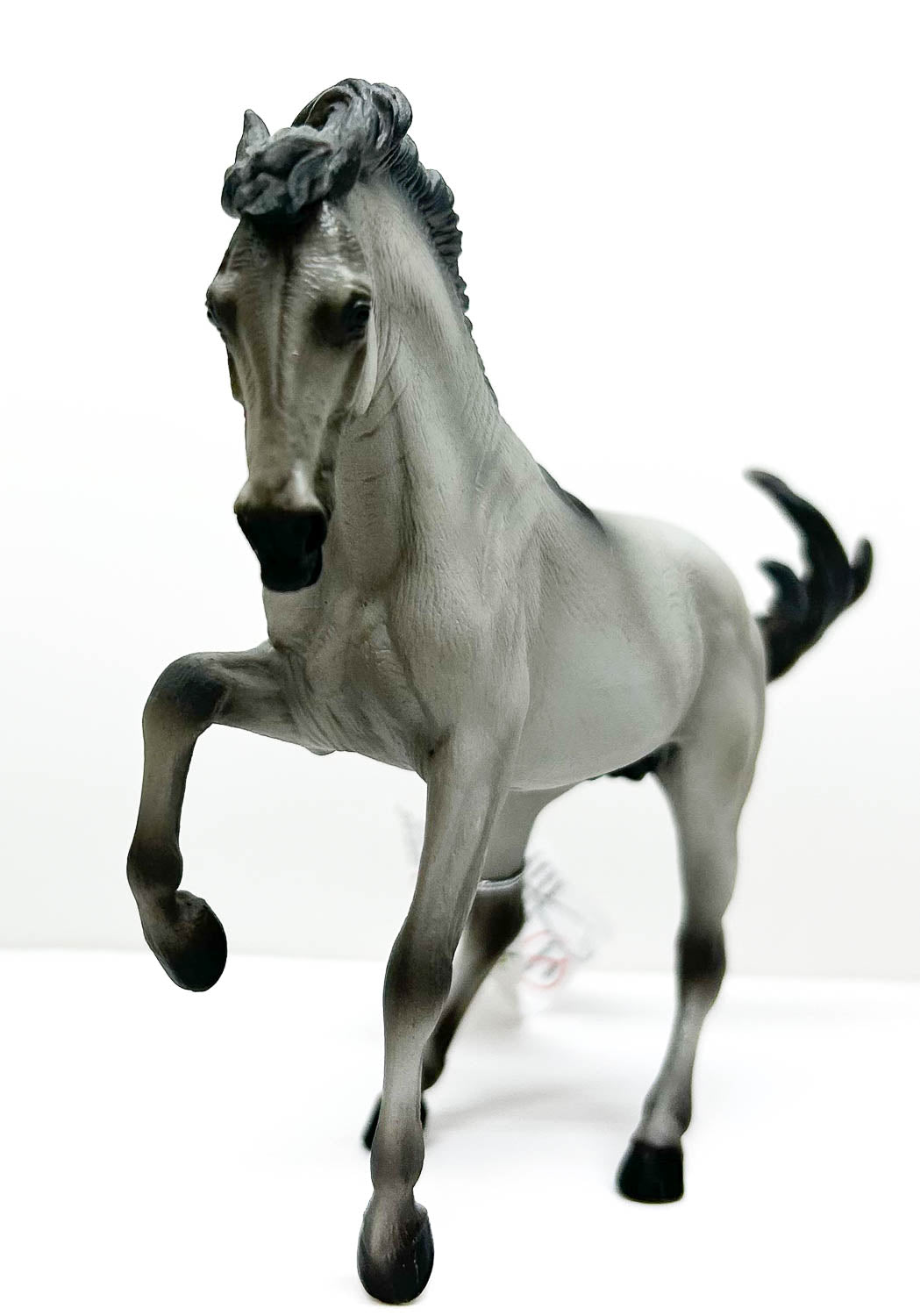 Lusitano Stallion, Grey (International Release)