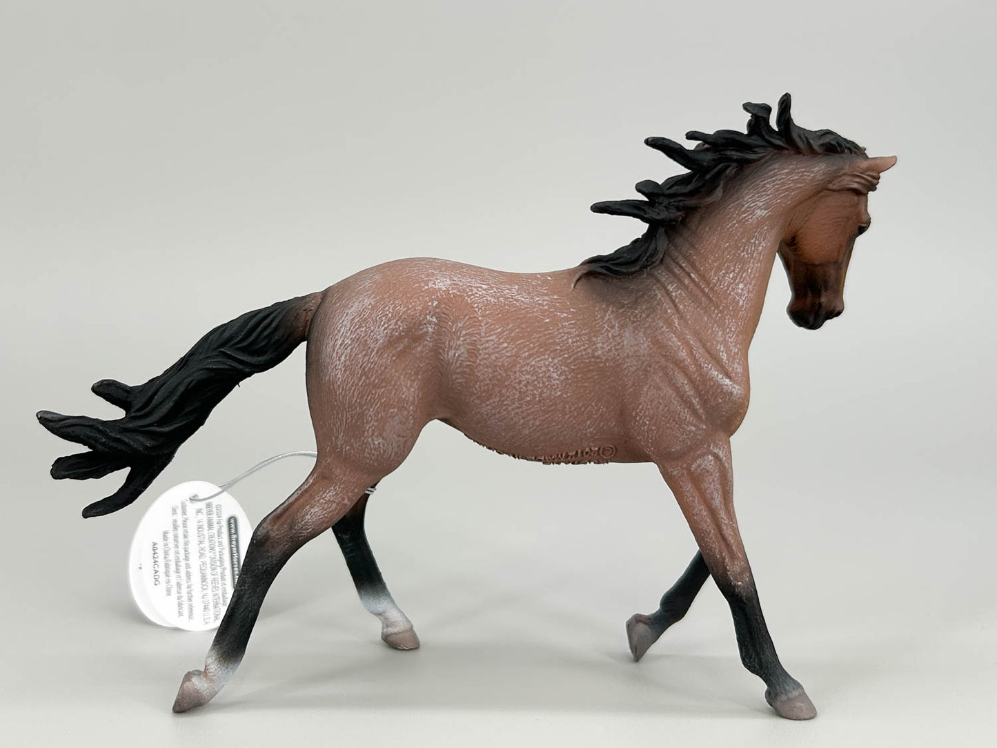 Mustang Mare, Bay Roan