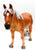 Noriker Mare, Flaxen Chestnut (International Release)