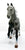 Orlov Trotter Mare, Dapple Grey (International Release)