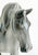 Percheron Mare, Dapple Grey