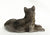 Grey Wolf Puppy, Lying Resin