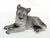 Grey Wolf Puppy, Lying Resin