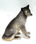Grey Wolf Puppy, Sitting Resin