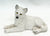 White Wolf Puppy, Lying Resin