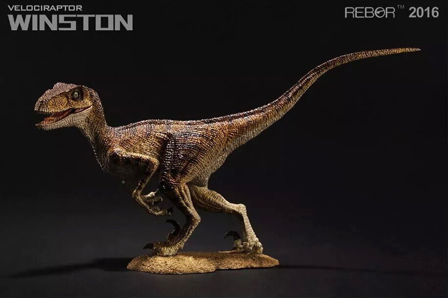 Velociraptor ~ Winston - REBOR Museum Class Replicas