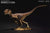 Velociraptor ~ Winston - REBOR Museum Class Replicas