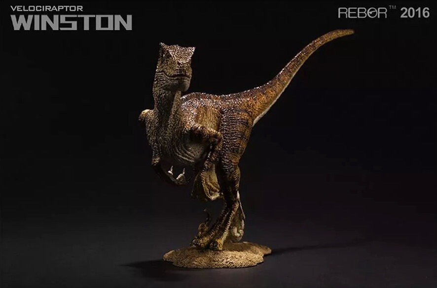 Velociraptor ~ Winston - REBOR Museum Class Replicas