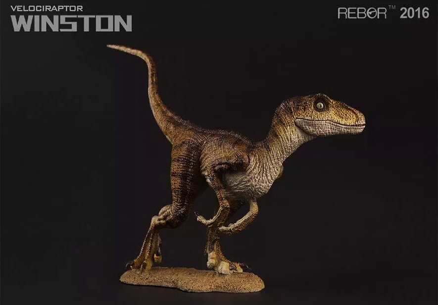 Velociraptor ~ Winston - REBOR Museum Class Replicas