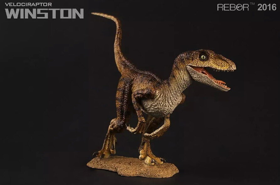 Velociraptor ~ Winston - REBOR Museum Class Replicas