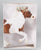 Box: Waffles & Flapjack - 2026 Premier Club - Box Only