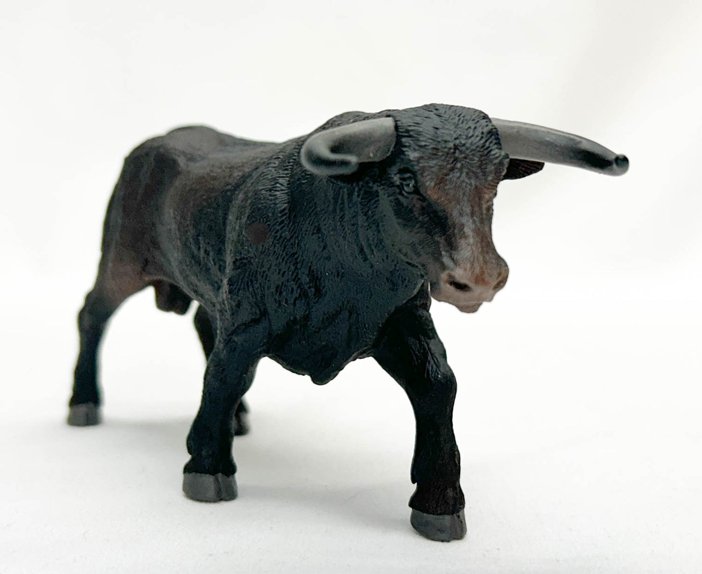 Black Bull