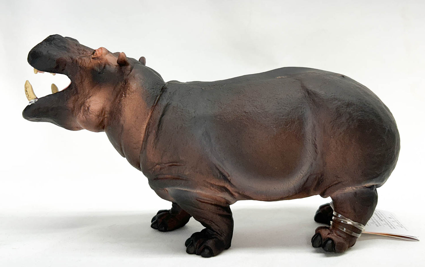 Hippopotamus (Large)