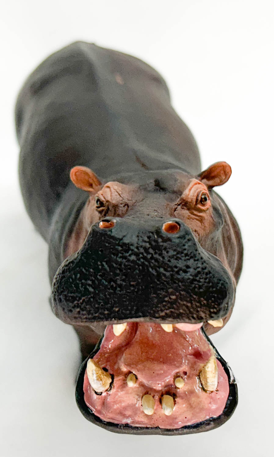 Hippopotamus (Large)