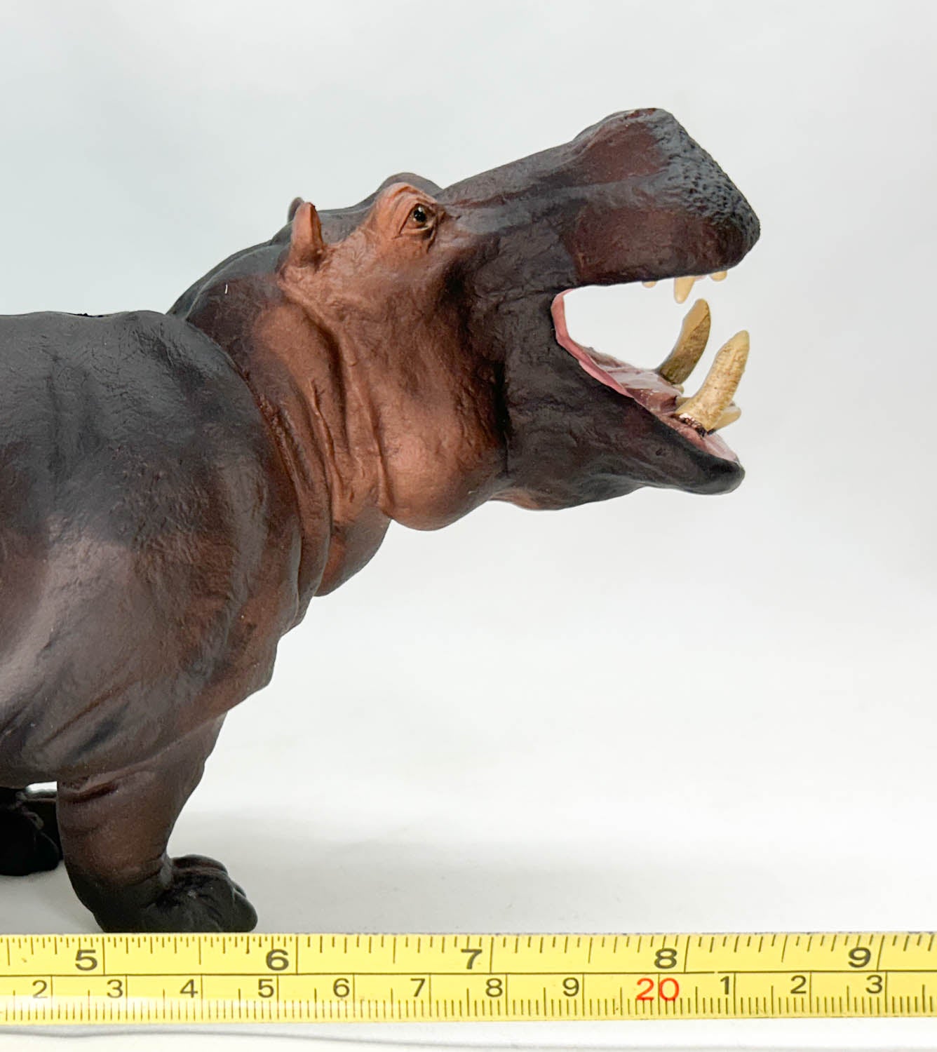 Hippopotamus (Large)