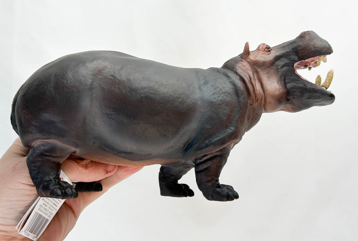 Hippopotamus (Large)