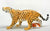Jaguar (Large)