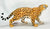 Jaguar (Large)