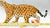 Jaguar (Large)