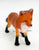 Red Fox