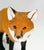 Red Fox (Large)