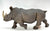 White Rhinoceros (Large)